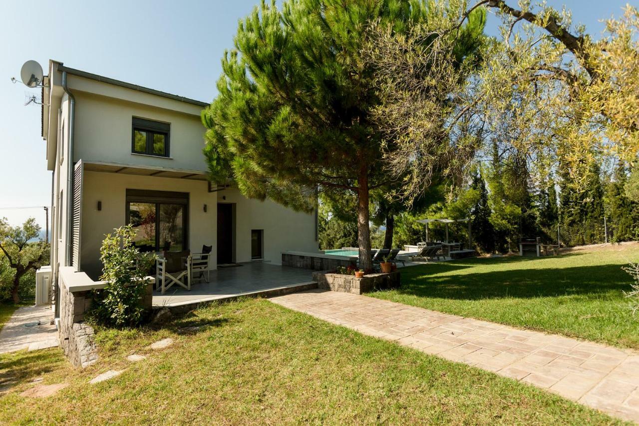 Olivia Estate Villa With Private Swimming Pool Элия Экстерьер фото